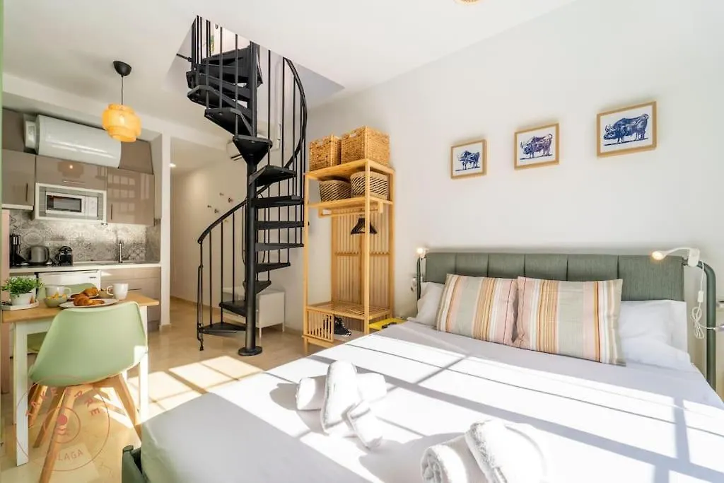 Estudio Toro In Malaga Met Dakterras Apartment